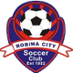 羅賓市藍 logo
