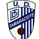 塔瑪拉賽特 logo