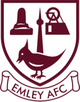 埃姆利AFC logo