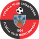 FK米耶爾庫雷亞丘克 logo