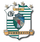 達姆布雷維塔U19 logo