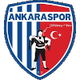 安卡拉U19 logo