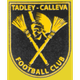 泰德雷卡勒瓦 logo