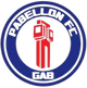 帕貝隆 logo