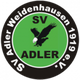 SV登豪斯 logo
