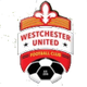 西切斯特聯U19 logo