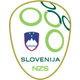 斯洛文尼亞女足U19 logo