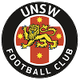 新南威爾士大學 logo