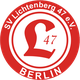 利希滕貝格47 logo