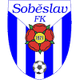 索別斯拉夫 logo