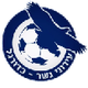 伊若尼內瑟U19 logo