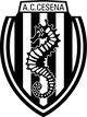切辛納女足 logo
