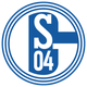 沙爾克04U19 logo