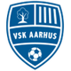 VSK阿胡斯女足 logo