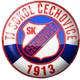 索科爾切喬維奇 logo