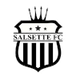 薩爾塞特 logo