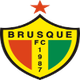 布魯斯U20 logo