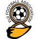 斐濟女足U19 logo