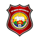 布拉塔萊佛士FC logo