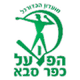 法薩巴夏普爾 logo