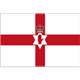 北愛爾蘭U18 logo