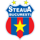 布加勒斯特星隊U19 logo