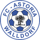 瓦爾多夫U19 logo