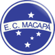 馬卡帕女足 logo