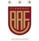 弗拉門戈瓜魯霍斯青年隊 logo