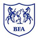 博茨瓦納U17 logo