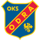奧波萊 logo
