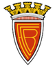 巴瑞雷恩斯U19 logo