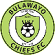布拉瓦約酋長 logo