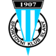 SK斯拉尼 logo