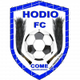 霍迪奧 logo