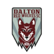道爾頓紅狼SC logo