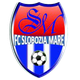 史洛布茲亞 logo